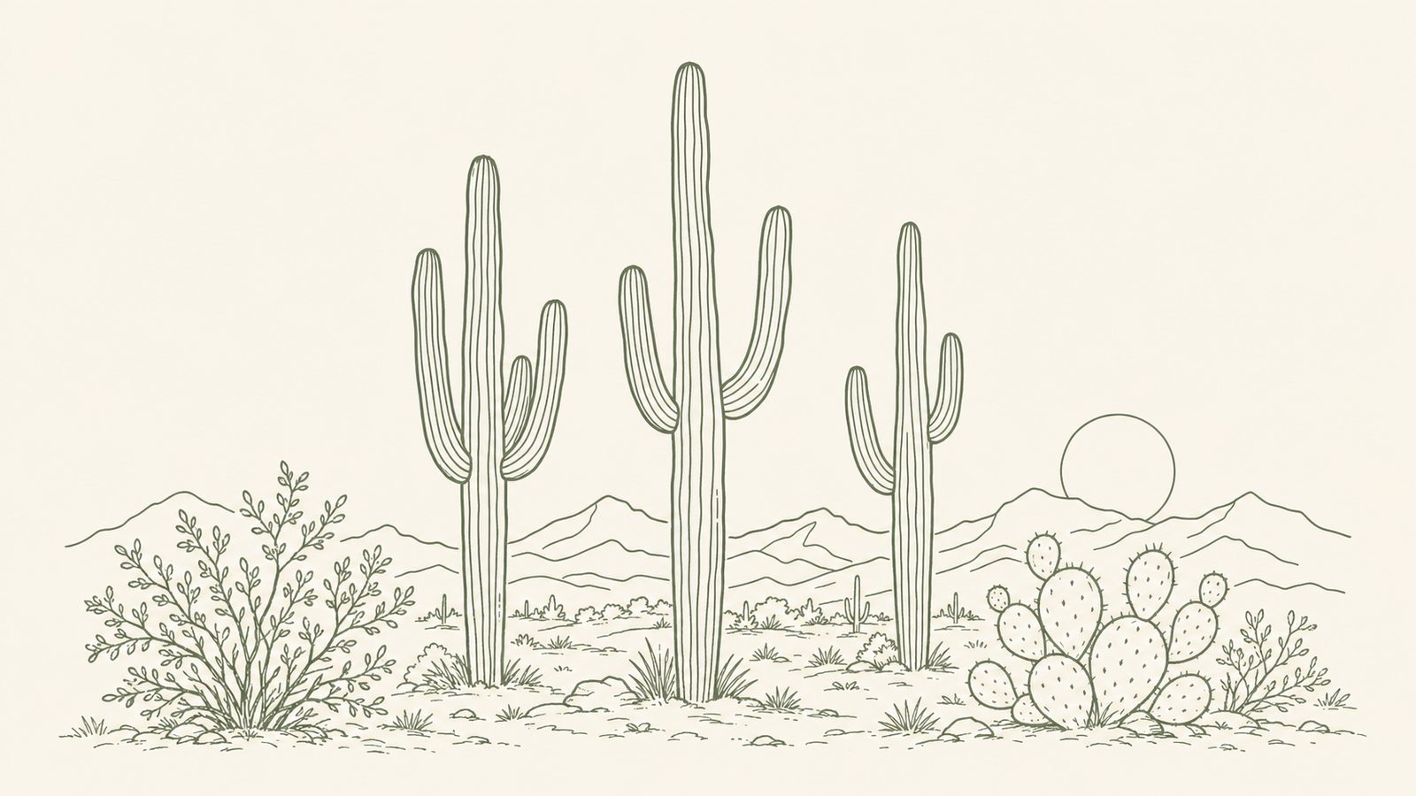 Illustrated Arizona desert horizon with open sky and room to explore