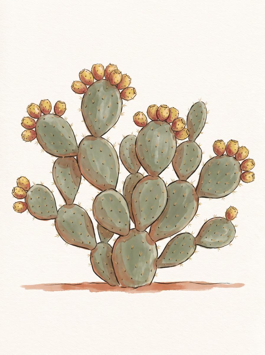 Illustration of an Engelmann prickly pear — a mound of flat oval green pads with yellow-red fruit along the top.