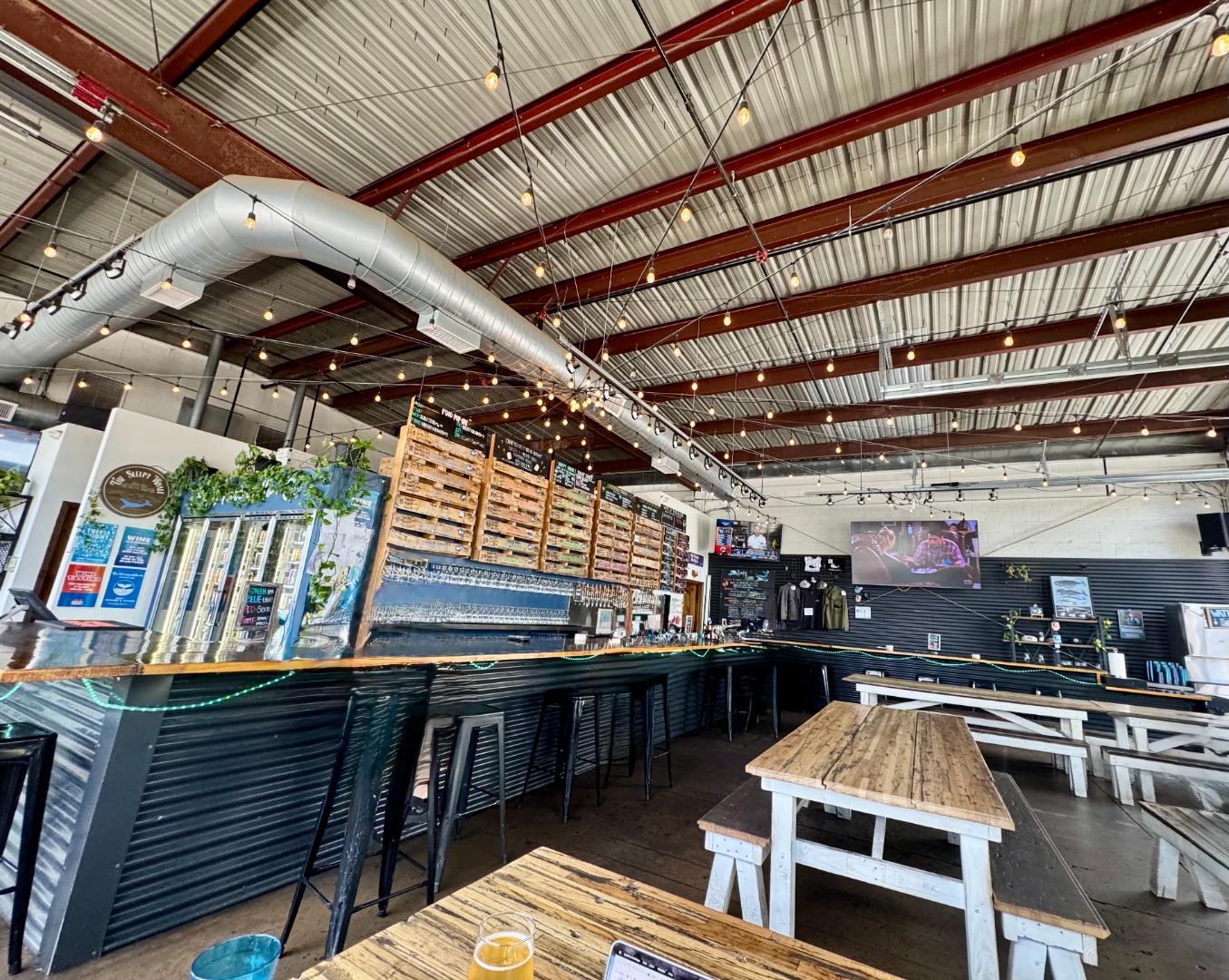 Wide interior of The Sleepy Whale in downtown Chandler at midday — string lights, exposed steel ceiling, long dark bar, tap board wall, and Sleepy Whale logo painted on the wall.