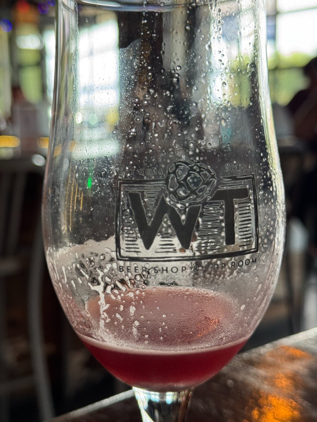 A rose-colored fruited sour beer in a branded Wandering Tortoise glass on the bar, backlit by the taproom's afternoon light.